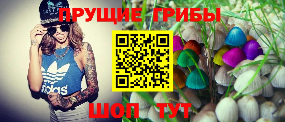 Псилоцибиновые грибы MAGIC MUSHROOMS  Вход с VPN  Качканар  Псилоцибиновые грибы Psilocybine cubensis 